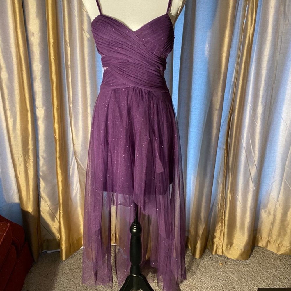 Formal purple and sheer dress